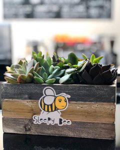 Sleepy Bee Cafe